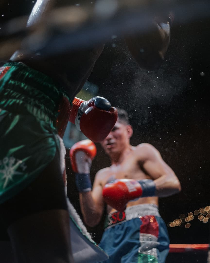 Request A Quote Boxing Gloves